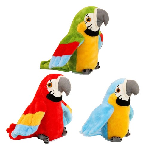 Happy talking parrot - happy, pet