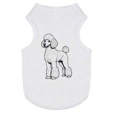 'Standard Poodle' Pet Dog /
