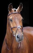 Shires Salisbury Brackley