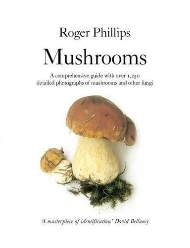 Mushrooms phillips roger - mushrooms, phillips,