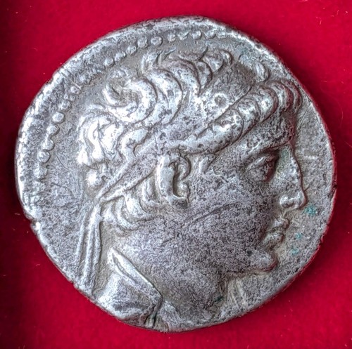 Demetrios ar tetradrachm - ,