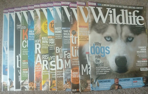 Bbc wildlife wild life - bbc,