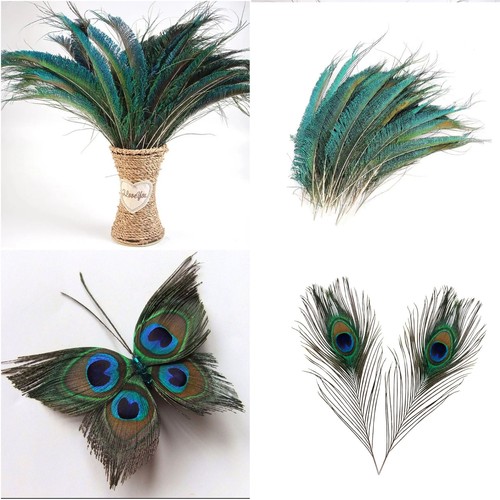 20pcs natural peacock tail - natural,
