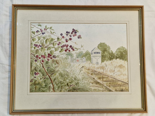 Framed watercolour - framed,