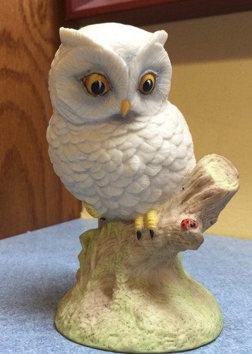 Baby owl figurine adorable - baby,