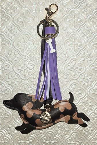 Dachshund doxie puppy dog - doxie,