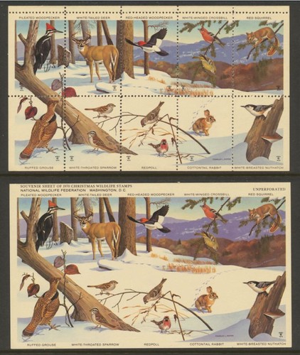 Usa christmas wildlife - usa,