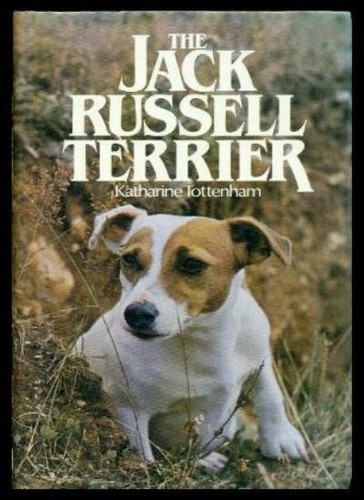 The jack russell terrier - jack, by