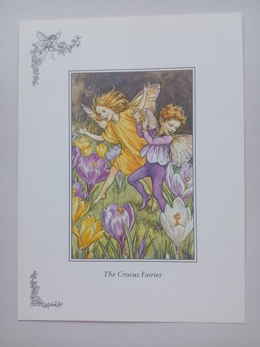 Cicely mary barker crocus - -,
