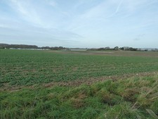 Photo A3 View to Dell Quay