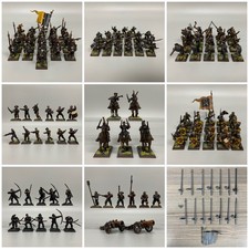 Painted empire army nuln - empire,