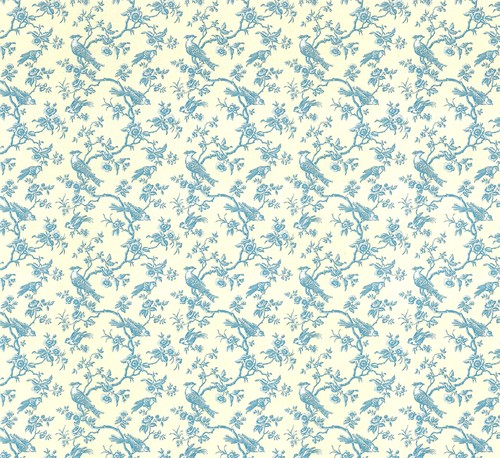 Dollhouse wallpaper bird - dollhouse,