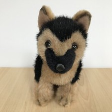 Alsatian German Shepherd Puppy