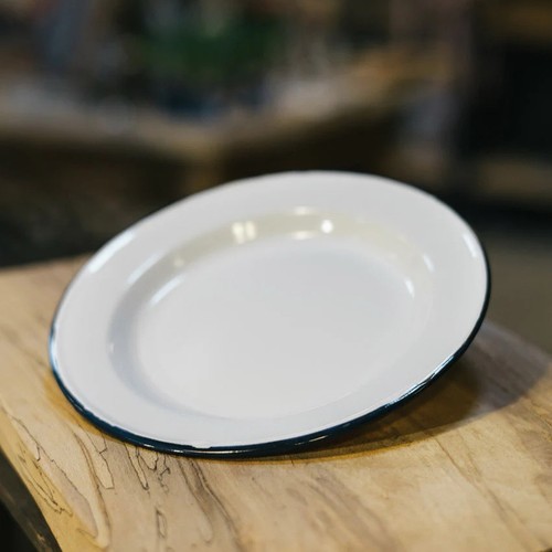 Falcon enamel dinner plate - falcon,