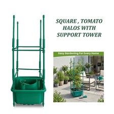 Square plant halo - square,