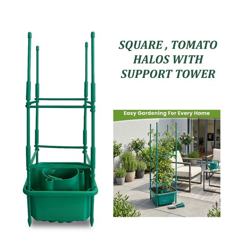 Square plant halo grow - plant,