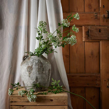 HILL INTERIORS - Faux White