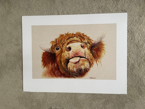 Jane bannon licensed art - licensed,