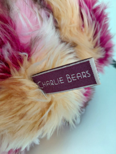 Charlie bears plush teddy - charlie, bear