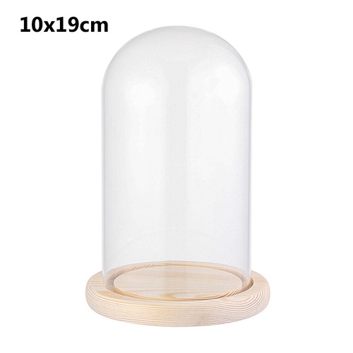 Glass dome display bell - display,