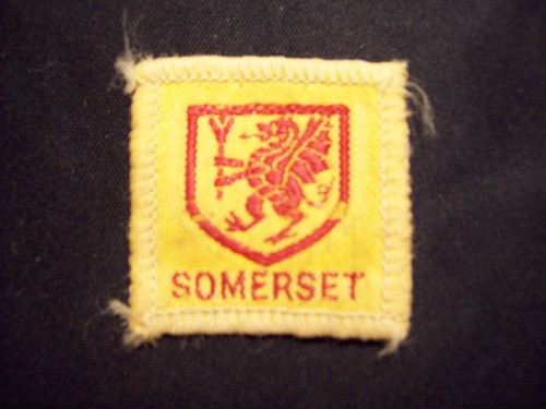 Vintage boy scouts badge - vintage,