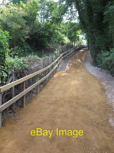 Photo 6x4 horse steps - photo,