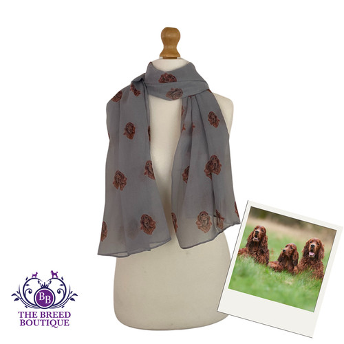 Irish setter scarf ladies - scarf,