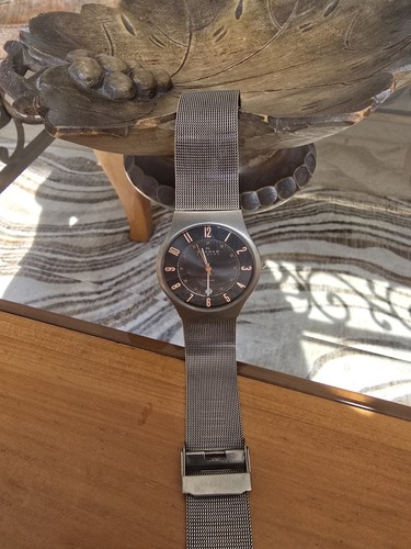 Skagen 233xlttmo titanium - 233xlttmo,