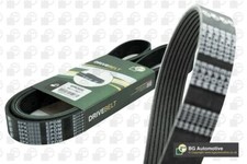 Drive Belt Ribbed Fits Bmw F22