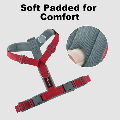 Plutus pet pull - plutus,