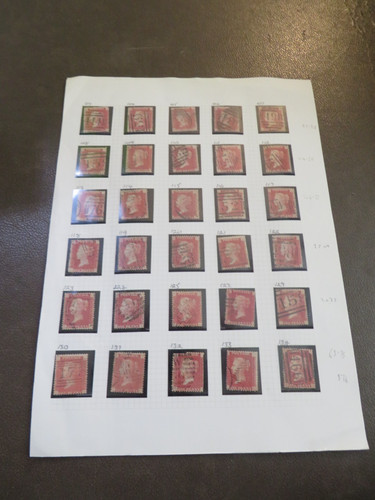 Group victoria penny - penny, reds