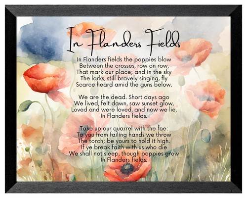 Flanders fields where - in,