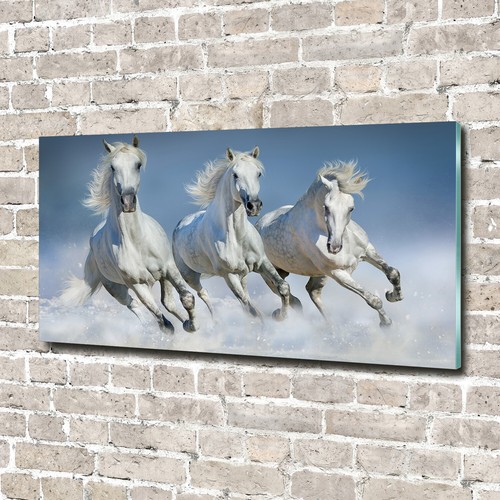 Glass picture wall - art, print