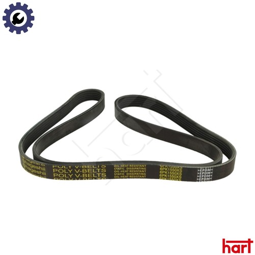 Vribbed belt 917 791 - vribbed,
