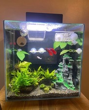 Aqua one black 37l platform