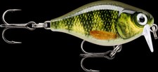 Rapala x-Light Crank Shallow