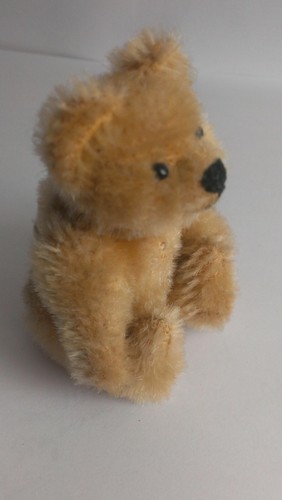 Old miniature teddy - bear,