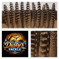 Hen Pheasant Wing 20 30 Or 40