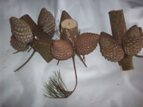 Sets large scotch natural - 3, of