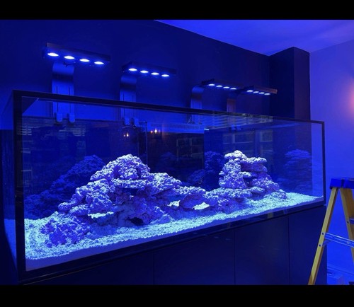 Red sea s1000 reef tank - sea,