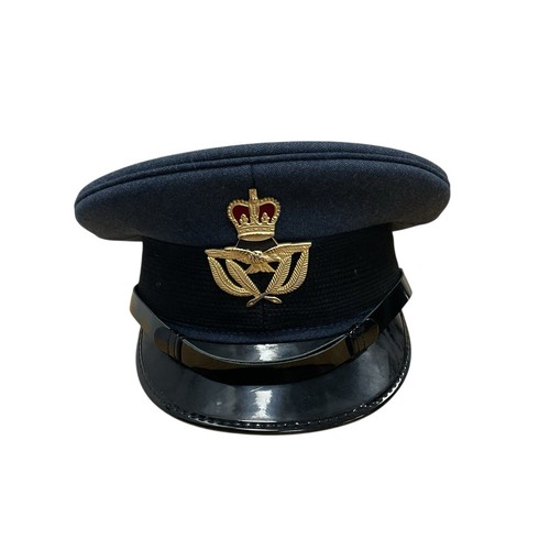 Raf mens warrant officer - warrant,