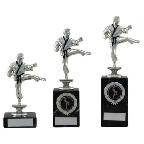 Martial arts trophies - martial,
