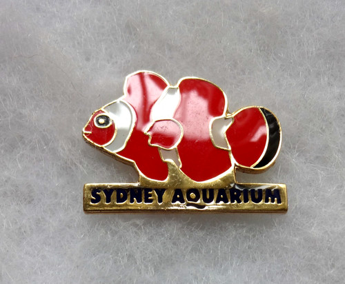 Sydney aquarium clown fish - sydney,