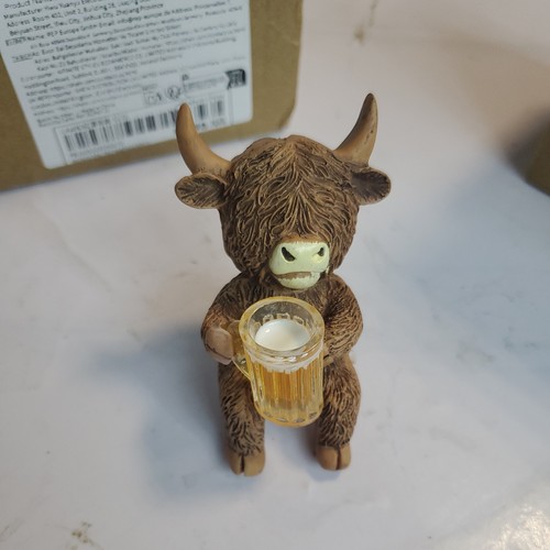 Highland cow with beer - cow,