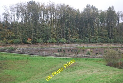 Photo 6x4 national pinetum - photo,