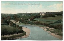 225 # PRINTED POSTCARD OF BUSH