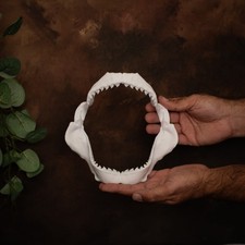 Tiger Shark Jaws 20cm 3d