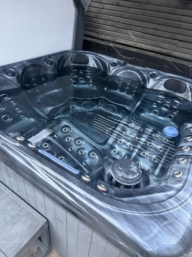 Blue whale hot - hot, tub