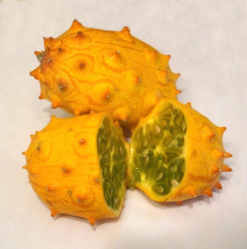 Cucumis metuliferus 25 - cucumis,