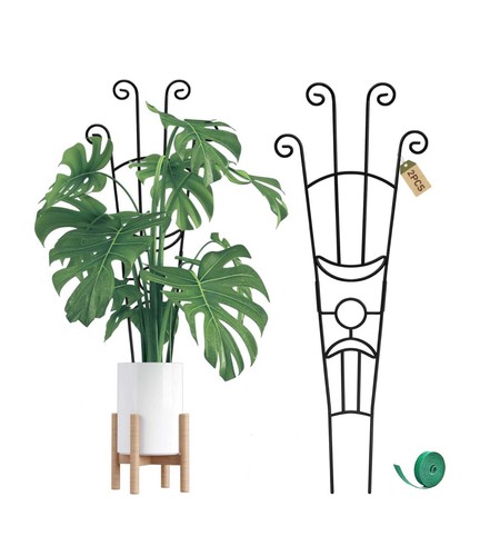 Monstera plant support - x,